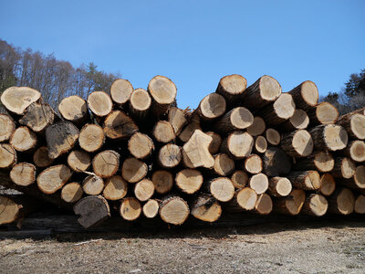 薪 / まき ( 広葉樹 遠野の 楢 ナラ の木 ）約  20kg 【東北・関東信越 地域限定発送】 薪ストーブ アウトドア キャンプ に！