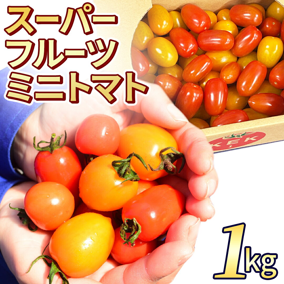 【ふるさと納税】《 2027年 収穫分 》 スーパーフルーツミニトマト 約1kg 先行予約 ミニトマト フルーツトマト ブランドトマト 野菜 ギフト 贈答
