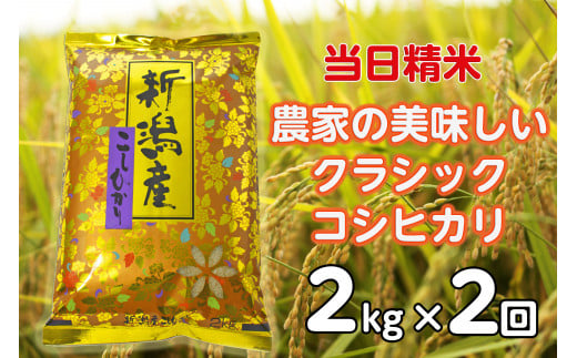 【令和6年産新米】【2ヶ月定期便】 当日精米! 農家直送 美味しい クラシックコシヒカリ 2kg×2回 計4kg 精米 白米 水原町農産センター 1F20012