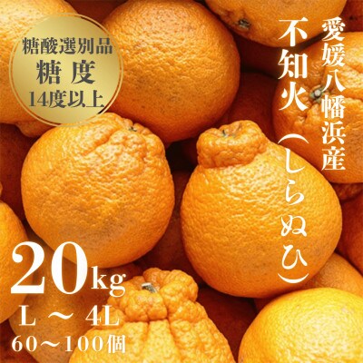 【糖度14.0以上酸1.4以下】糖酸選別品 愛媛産 不知火 (しらぬひ) 20kg【H20−93】【配送不可地域：離島】【1625296】