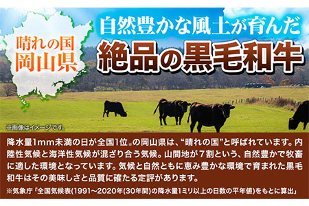 【訳あり】黒毛和牛 切り落とし 小分け 約1kg 約250g×4《60日以内に出荷予定(土日祝除く)》｜牛肉お肉切り落とし牛肉お肉切り落とし牛肉お肉切り落とし牛肉お肉切り落とし牛肉お肉切り落とし牛肉お