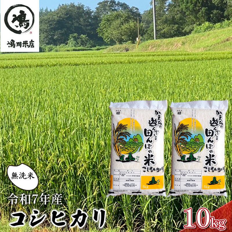 【ふるさと納税】新米　令和7年 コシヒカリ　無洗米　10kg お米 精米 粘りつやつや 甘み 美味しい 新鮮
