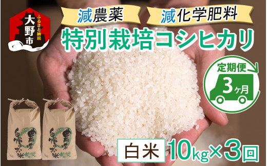 【先行予約】【令和8年産 新米】【3ヶ月定期便】減農薬・減化学肥料の特別栽培コシヒカリ 白米 10kg（5kg×2袋）×3回 計30kg農家直送 福井県大野市産