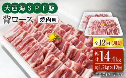【月1回約1.2kg×12回定期便】大西海SPF豚 背ロース（焼肉用）計14.4kg 訳あり ＜大西海ファーム＞ [CEK128]