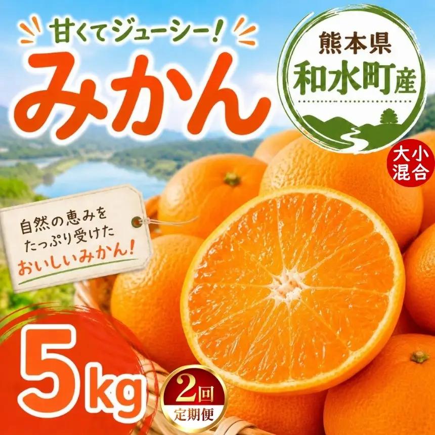 【定期便2回】 熊本県 和水町産 大小混合 みかん 5kg ミカン フルーツ 定期便