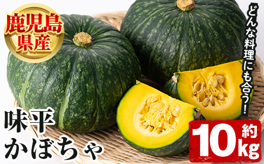＜2025年5月以降発送予定＞鹿児島県産 味平かぼちゃ(約10kg) 国産 野菜 かぼちゃ カボチャ 南瓜 煮物 天ぷら バーベキュー BBQ スイーツ お菓子【松永青果】a-28-9-z