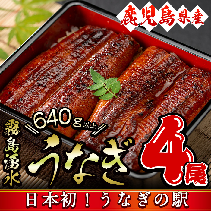 【志布志市人気No.1お礼の品】霧島湧水鰻の蒲焼き 160g以上×4尾＜計640g以上＞　うなぎ 鰻 ウナギ 4尾 国産 九州産 蒲焼き かばやき 冷凍 うな重 ひつまぶし タレ 山椒 ランキング 人気 b3-018