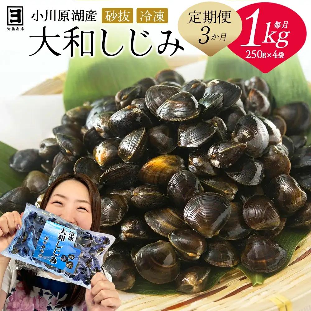 【 3ヵ月定期便 】砂抜き済みで手間いらず！冷凍・小川原湖産大和しじみ1kg（250g×4袋）【02408-0089】