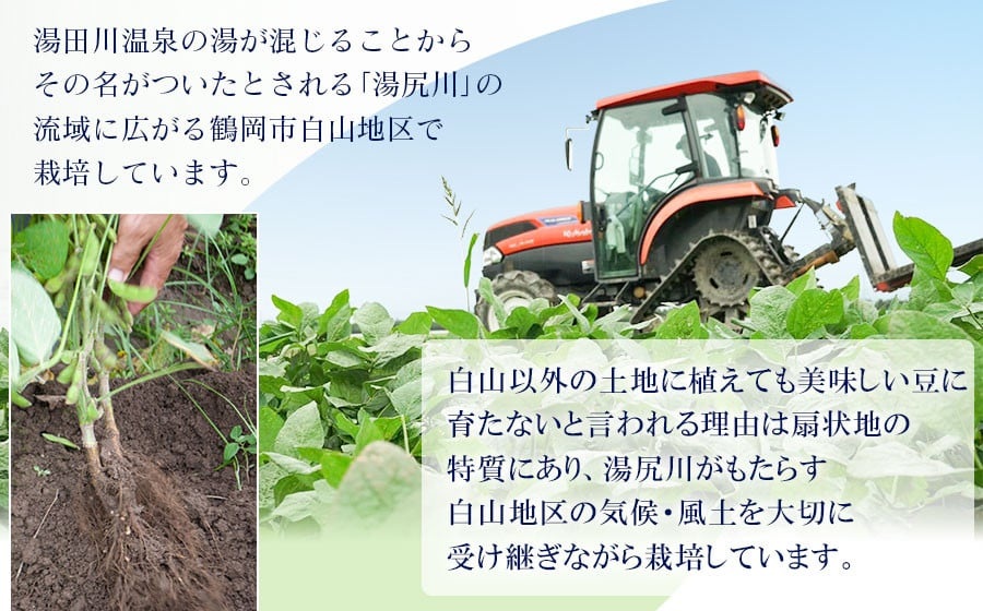 【令和7年産先行予約】 白山だだちゃ豆　2kg　鶴岡市白山産　長五郎
