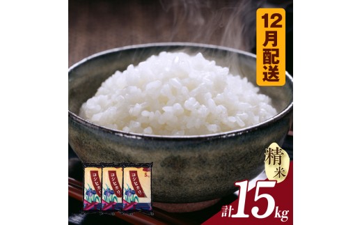 【令和８年産 先行予約】コシヒカリ（精米）15kg（12月発送）（3574）