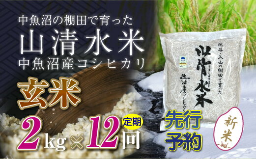 【ふるさと納税】【定期便／全12回】玄米2kg　新潟県魚沼産コシヒカリ「山清水米」十日町市 米　お届け：寄附入金確認後、順次発送します。