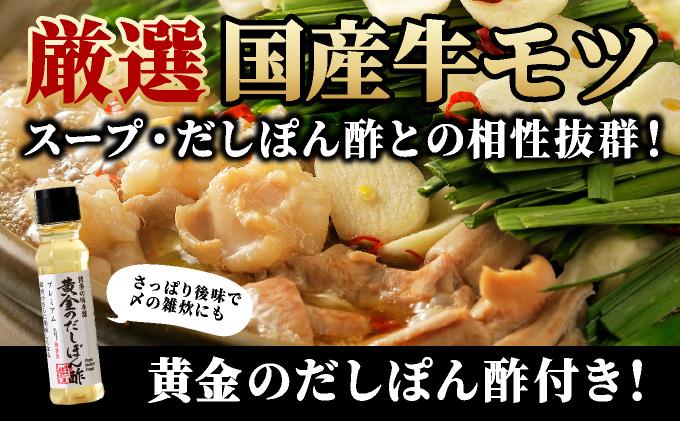 博多もつ鍋 醤油味 2-3人前 & 辛子明太子 1kg 大満足セット