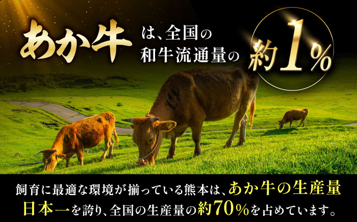 【全6回定期便】熊本和牛あか牛切り落とし 約1kg / 菊陽町 あかうし 熊本県 肉 にく niku ブランド 旨み【有限会社　三協畜産】 [BHAS046]