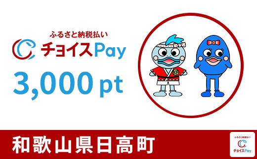 
            日高町チョイスPay 3,000pt【会員限定のお礼の品】
          