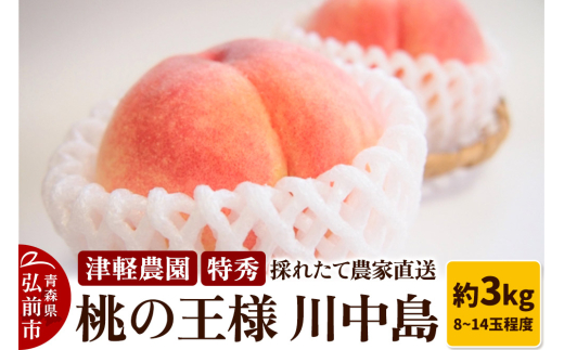 【25年8月発送】もも【2025年産 桃の王様 川中島】特秀 約3kg 8～14玉程度 ASIAGAP認証農場 津軽農園 採れたて 農家直送