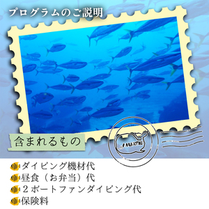 水着1つでお越しください!徳島最南端の海でファンダイビング!