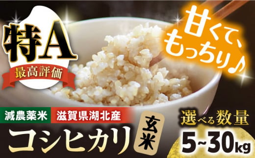 令和6年産【新米】 滋賀県湖北産 湖北のコシヒカリ 5kg(玄米)　滋賀県長浜市/株式会社エース物産[AQAK001]