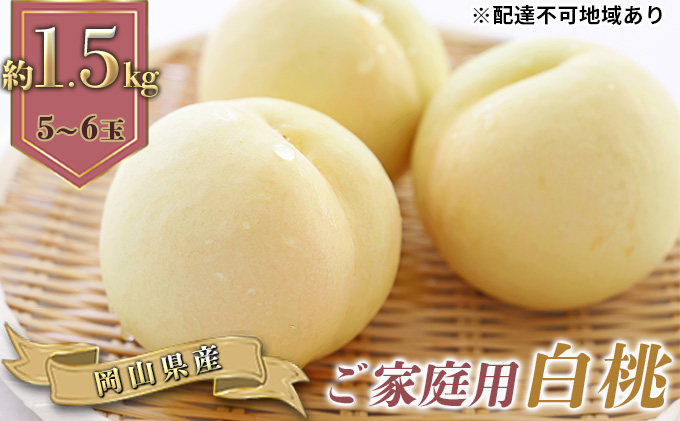 桃 2025年 先行予約 ご家庭用 白桃（晩生種）5～6玉 合計約1.5kg もも モモ 岡山県産 国産 フルーツ 果物 ギフト 果肉 