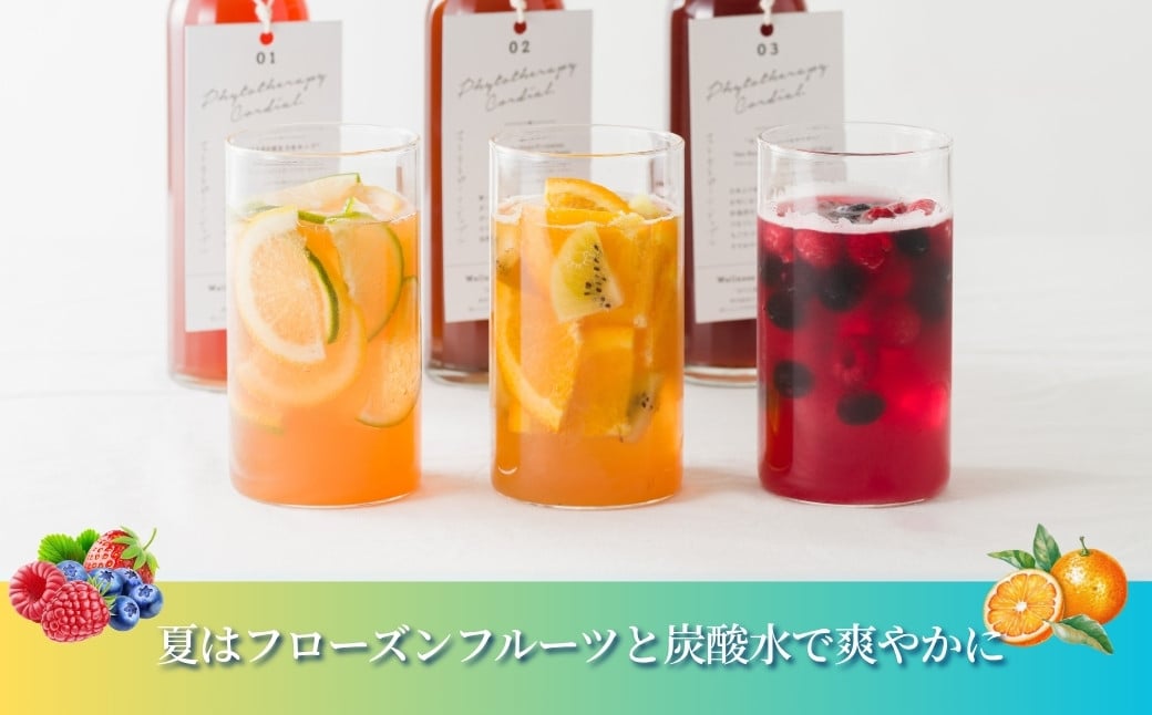 フィトテラピー コーディアル 単品 セット選べる ３種 285ml × 1本