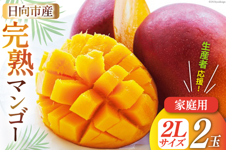 【2026年夏発送】「生産者応援・数量限定」 宮崎 完熟 マンゴー 2L×2玉 (家庭用) [宮崎県農業協同組合日向地区本部（販売課） 宮崎県 日向市 452061563] 果物 フルーツ 規格外 訳あり 完熟マンゴー 甘い 日向 期間限定 冷蔵