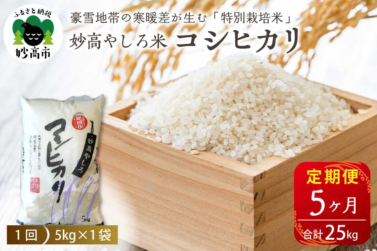 
                  【先行予約】 令和8年産【5ヵ月定期便】新潟県 妙高やしろ米 コシヒカリ25kg (5㎏×5回) 【11月中旬より発送】 定期便 お米 米 コメ 精米 新潟 妙高市 米どころ こめ ご飯 ごはん ライス 弁当
                