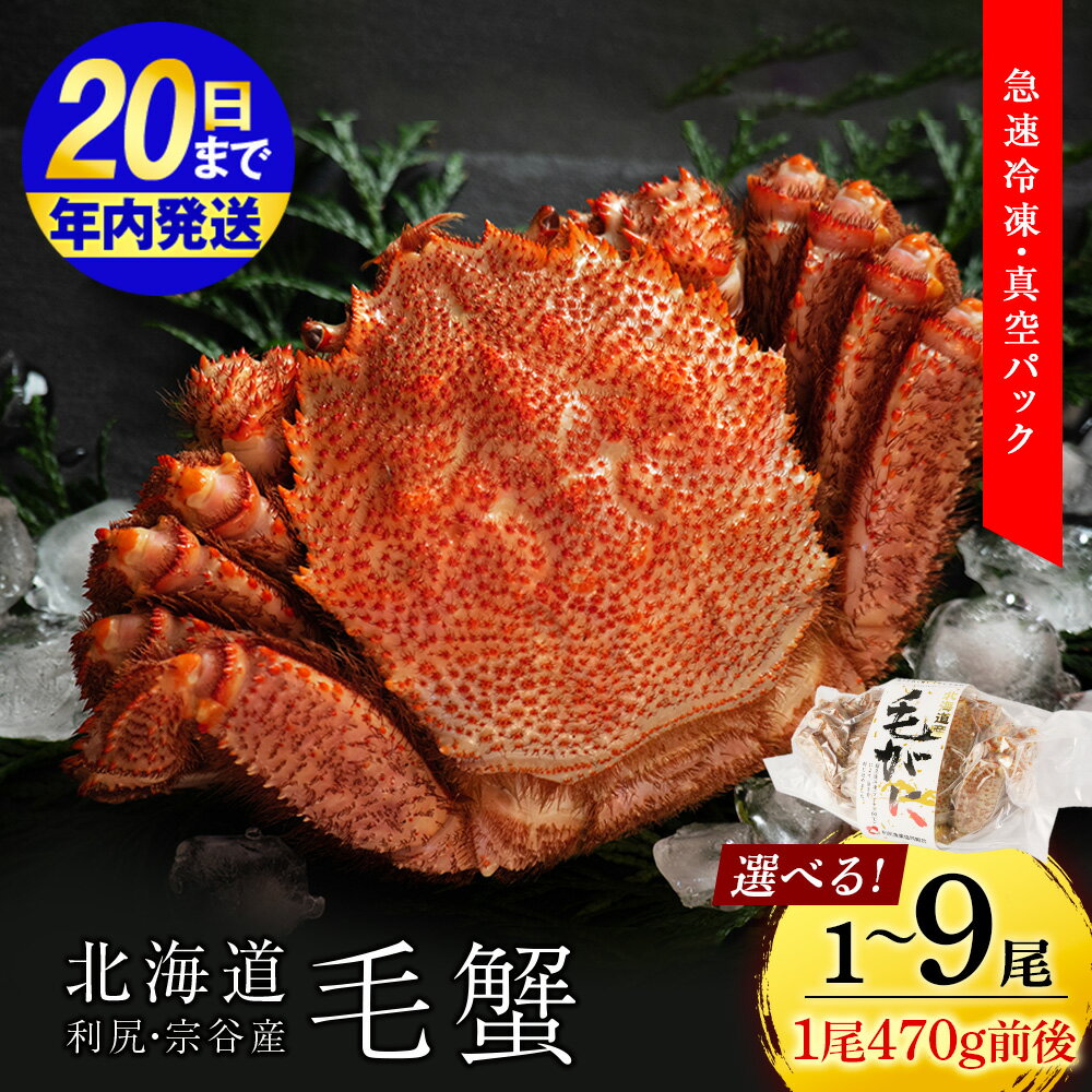【ふるさと納税】【12月20日決済確定分まで年内発送】 ☆選べる発送時期☆ 利尻・宗谷産 毛ガニ 小サイズ（470g前後）選べる1尾〜9尾＜利尻漁業協同組合＞北海道ふるさと納税 利尻富士町 ふるさと納税 北海道 海鮮 北海道 カニ 蟹 毛ガニ 毛蟹 蟹みそ 濃厚 蟹棒 蟹甲羅