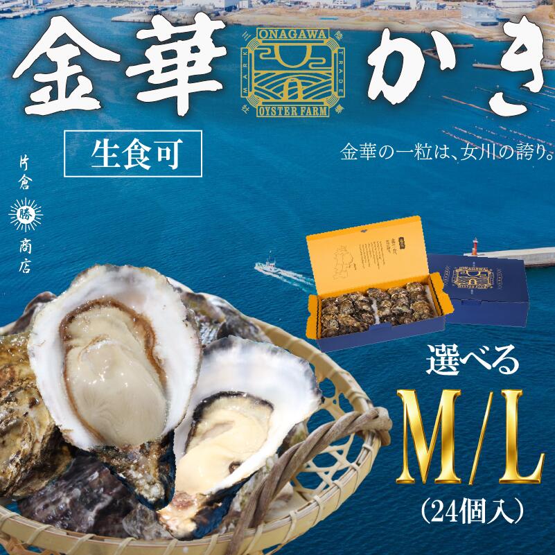 【ふるさと納税】 冷凍 牡蠣 24個入 選べる M～L サイズ 生食可 金華かき 女川オイスターファーム ブランド牡蠣 かき カキ 高級 宮城県産 三陸産 女川産 金華牡蠣 生牡蠣 生食用 焼き牡蠣 蒸し牡蠣 旬 新鮮 肉厚 お取り寄せ ギフト 海鮮 お歳暮 お中元 BBQ 冷凍配送 岩沼市