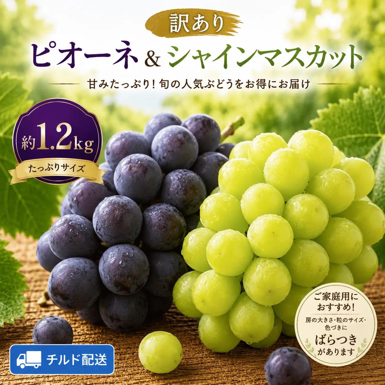 ＜訳あり＞ 家庭用ピオーネ＆シャインマスカット 約1.2kg｜味はそのまま・ご家庭用におすすめ（チルド配送）《9月中旬-10月下旬出荷予定》期間限定 フルーツ 果物 ぶどう ブドウ 神石高原町 広島県