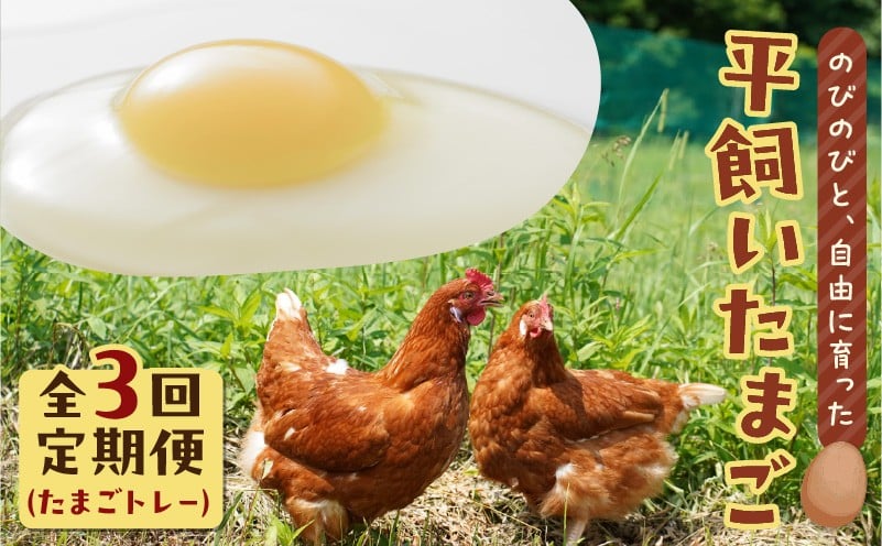 
            【全3回定期便】平飼いたまご（たまごトレー）　T074-T01-02
          