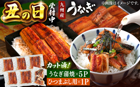 九州産うなぎの蒲焼カット 約80g×5Pとひつまぶし [ADAH025] うなぎうなぎうなぎうなぎうなぎ
