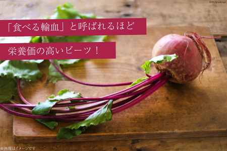 【期間限定発送】【下茹で済み】 ビーツ 野菜 レトルト 200g 4袋 計800g