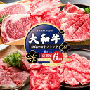 【ふるさと納税】【定期便6回】大和牛 お肉の定期便 B | 肉 にく ニク お肉 牛肉 黒毛 和牛 赤身 国産 大和牛 切り落とし 冷凍 すきやき ロース 焼肉 小間切れ 奈良県 五條市