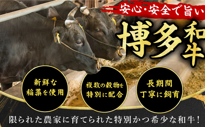 博多和牛 和牛 国産牛 牛肉 サーロイン