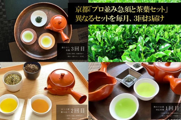 京都「プロ並み急須と茶葉セット」　初級者向け（熱め～湯さまし）全3回×3ヵ月コース〈定期便 お茶 茶 煎茶 緑茶 茶葉 雁が音 茎茶 焙じ ほうじ茶 急須 陶器 工芸品 セット〉