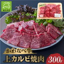 【ふるさと納税】かわなべ牛上カルビ焼肉300g