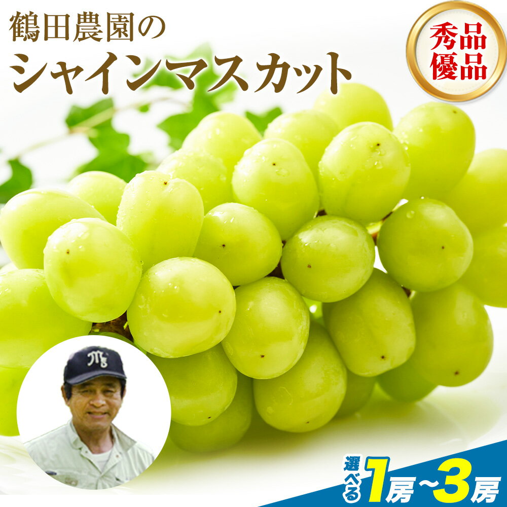 【ふるさと納税】 先行予約 シャインマスカット 選べる 秀品 優品 約600g (1房) 約1.3kg (2〜3房) 熊本県荒尾市産《8月下旬-9月下旬頃出荷予定》熊本県 荒尾市 フルーツ 果物 送料無料 葡萄 ぶどう マスカット 選べる 鶴田農園 1kg