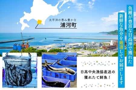 『キンキ入り』漁協厳選！鮮魚お楽しみBOX※不在日・日付指定対応不可※[02-830]