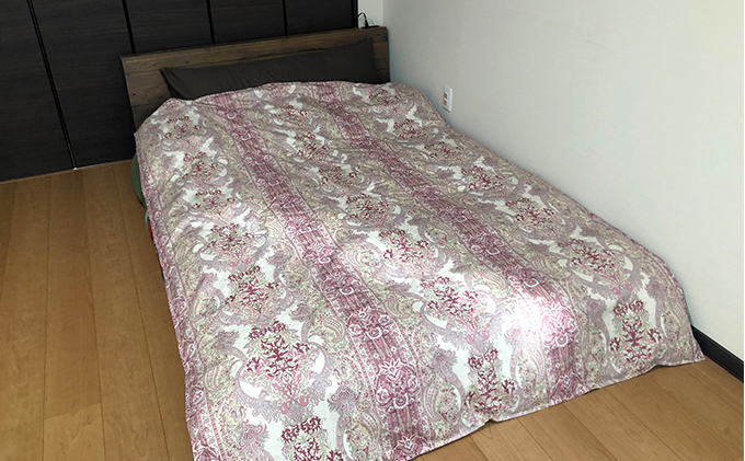ダウンエッセンス(ポリエステル)夏用肌掛け布団0.8kg シングル1枚(色：赤系)