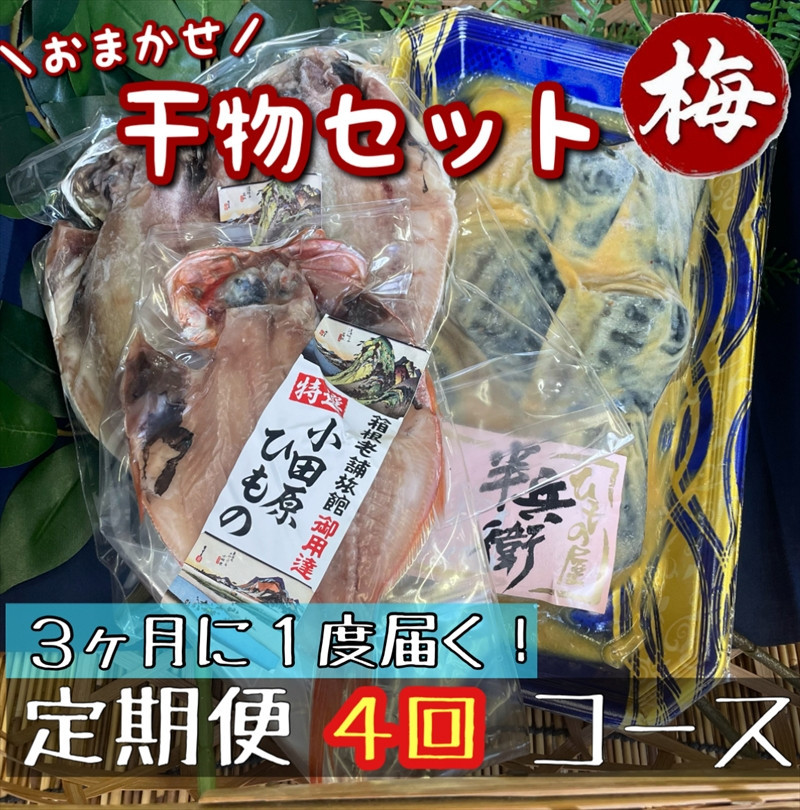 【3ヶ月に1回定期便4回】厳選！小田原の旬の干物セット 梅【 まぐろや 神奈川県小田原市 】 142069_DQ290