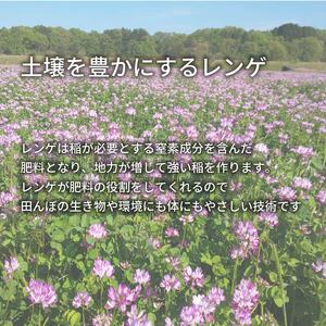 【 先行予約 】 新米 夢ごこち 玄米 5kg( 新米 予約 令和6年産 特別栽培米 米 5kg 玄米 米 5kg 玄米 米 5kg 玄米 米 5kg 玄米 米 5kg 玄米 米 5kg 玄米 米 5