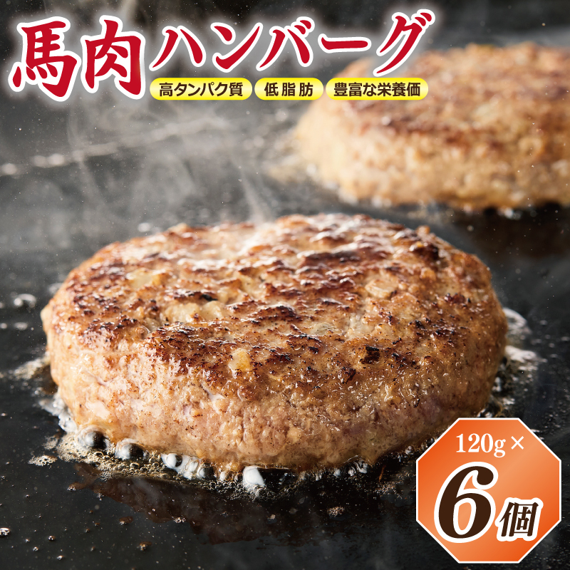 【特別規格】桜文 馬肉ハンバーグ 総量720g（120g×6個） 個包装 お試し G1729
