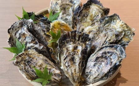 ★北海道・沖縄配送不可★【一粒殻付き牡蠣】Mサイズ40個《加熱用》