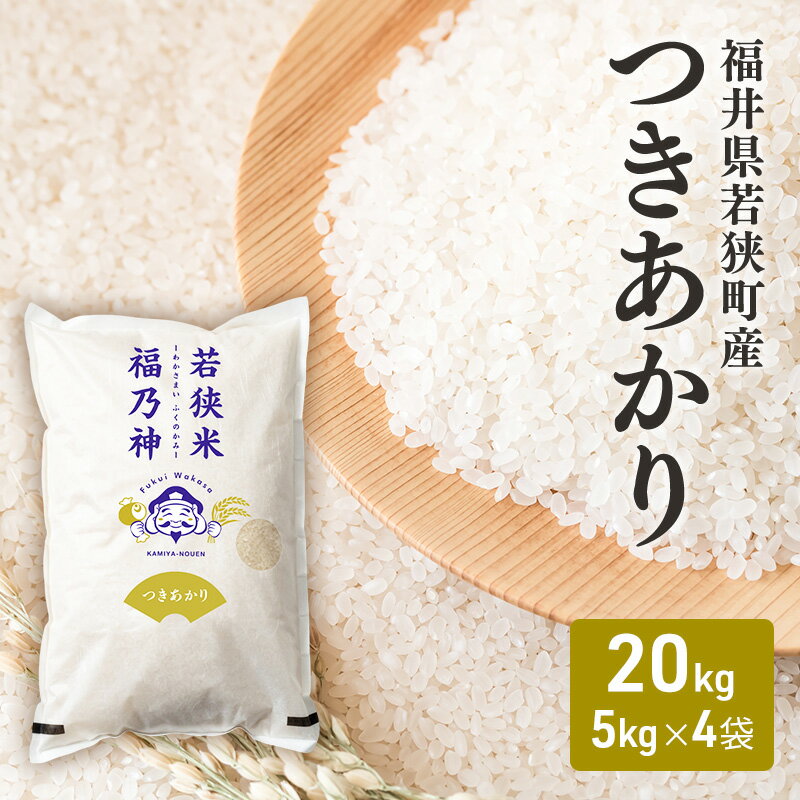 【ふるさと納税】令和7年産福井県若狭町つきあかり（一等米）20kg（神谷農園） 5kg×4袋 お米 ブランド米 銘柄米 ご飯 おにぎり お弁当 産地直送 和食 主食 　お届け：2026年10月以降発送
