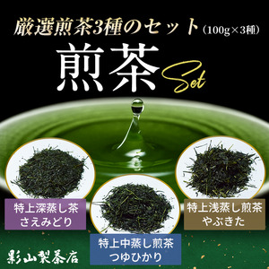 特上煎茶 さえみどり つゆひかり やぶきた 3袋セット (3種×各100g袋) お茶 影山製茶店 特上 煎茶 緑茶 甘み濃いめ 渋み少なめ 水出し ティータイム おもてなし リラックス 手土産 富士市