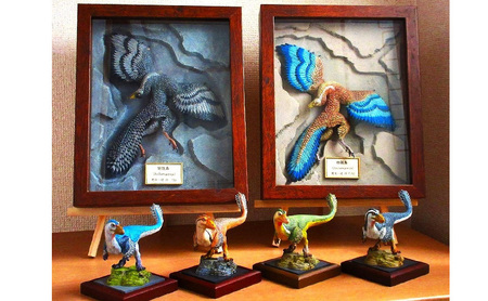 額装 始祖鳥 復元模型　荒木恐竜工房　恐竜　模型 1 翼：ブルー系 ボックス額：茶色