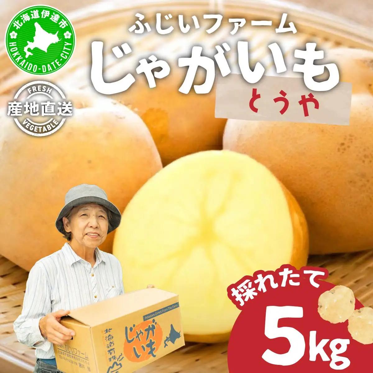 ＜先行予約＞北海道産 じゃがいも(とうや) 約5kg【55250843】