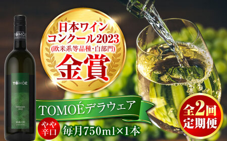 【全2回定期便】TOMOEデラウェア 白ワイン やや辛口 白 ワイン 受賞 ギフト 醸造[APAZ049] ワイン ワイン ワイン ワイン ワイン