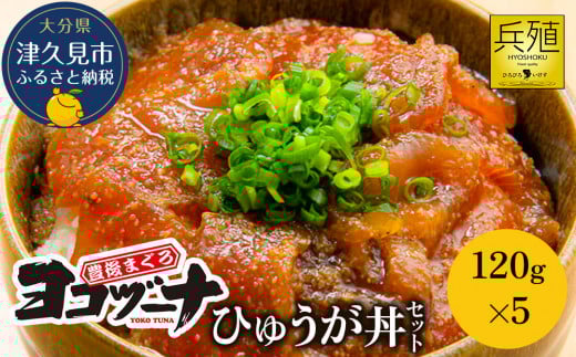 【漬け丼 海鮮丼・まぐろ漬け丼】豊後まぐろヨコヅーナ ひゅうが丼（まぐろ丼）セット 120g×5 | 漬け丼 海鮮丼 漬丼 漬けまぐろ づけどん かいせんどん 本マグロ 海鮮丼セット 冷凍 大分県産 九州産 津久見市 国産