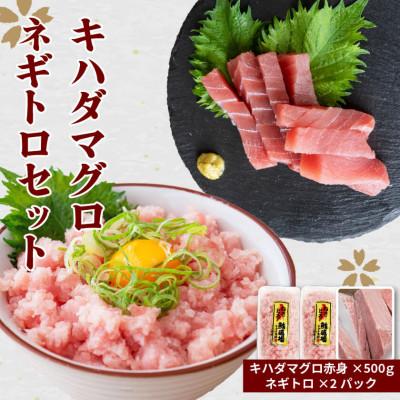 ふるさと納税 須崎市 キハダマグロ・ネギトロセット【各500g】