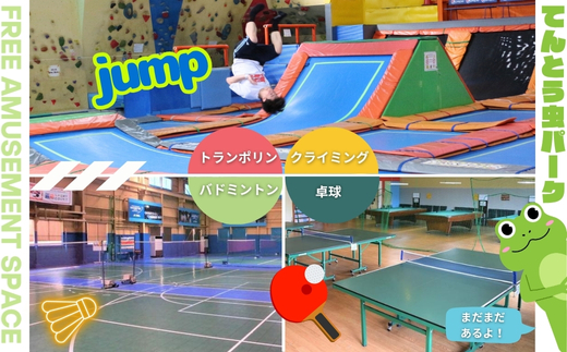 てんとう虫パーク 河内長野店 1日フリーパスご招待券（小学生以上1名様分）｜トランポリン・クライミング・バドミントン・カラオケ・ゲームなど遊び放題！ソフトドリンク飲み放題付き お子様に大人気！屋内施設